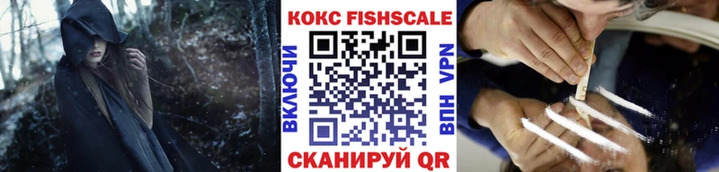 цена наркотик  Камышин  COCAIN 97% 