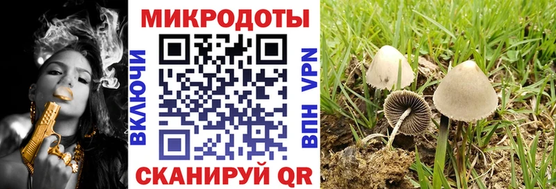 Галлюциногенные грибы ЛСД  Камышин 