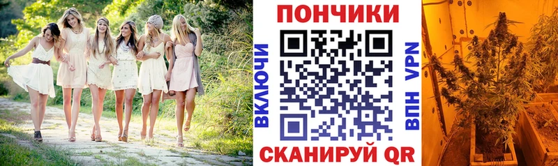 Конопля тримм  наркотики  Камышин 
