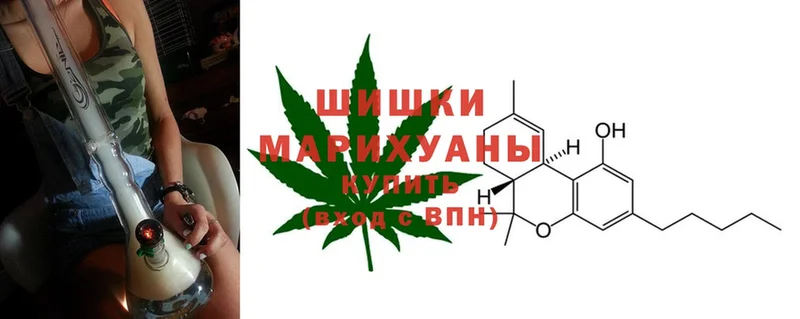 где можно купить наркотик  Камышин  Бошки Шишки Bruce Banner 